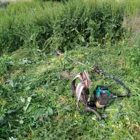 علف زنی باغ باغچه شیراز..حومه..