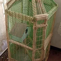 قفسه چوبی عروس هلندی و پرنده