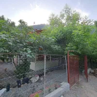 اجاره سالیانه ویلا نیمه دربست ماسال