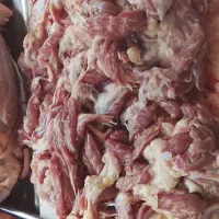 ران و سینه هلندی مرغ مادر و پشت گردن مرغ