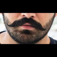 مواد غذایی مفید برای موهای سالم و پرپشت