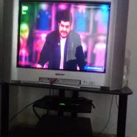 تلوزیون سنی۲۹بازیرتلوزیونی
