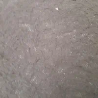 بزغاله شیری دو عد ماده