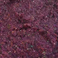 ترشی تازه خانگی|خوردنی و آشامیدنی|هشتگرد, هشتگرد قدیم|دیوار