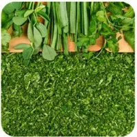 استخدام نیروی خورد کن سبزی مارکت