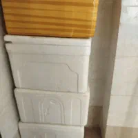 یخدان یونولیت ماهی