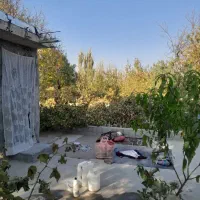 باغ انگور به متراژ ۱۳من محلی