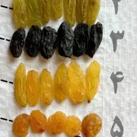 عمده‌فروش کشمش تاکستان|عمده‌فروشی|قم, زنبیل آباد|دیوار