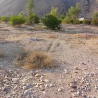 1000زمین باغ لطیف آبادسنگ چارک