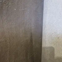 موکت سالم
