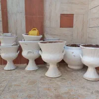 گلدان سلطنتی