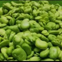 باقلا و انواع سبزی و ژله
