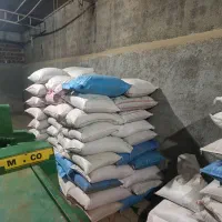 گندم و جو بذری|خدمات باغبانی و درختکاری|گمیشان, |دیوار