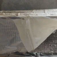 قفس|پرنده|پاکدشت, پاکدشت (مامازند)|دیوار