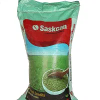 عدس /حبوبات /عدس ساسکن/عدس کانادا