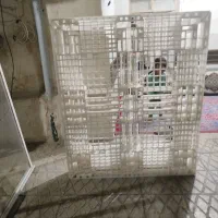 پالت درحد نو|ابزارآلات|سمنان, |دیوار