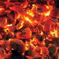 پخش عمده زغال کبابی