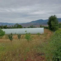 فروش باغ و زمین یک هکتار ی با سند رسمی فروشی