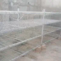 سه عدد قفسه پرورش قارچ قیمت ۱۸۸۰۰۰۰۰|ابزارآلات|سنقر, |دیوار