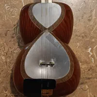 تار حرفه ای ساخت استاد حسینی