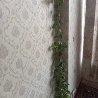 گل وگیاه