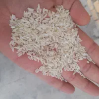 برنج محلی درجه۱کشت اول به شرط پخت و مزه وعطر