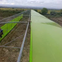 گلخانه|عمدهفروشی|اردبیل, |دیوار