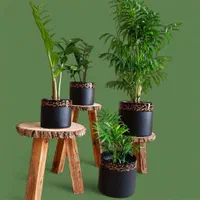 فروشگاه گل و گلدون آراسته|گل و گیاه طبیعی|تهران, چهارصد دستگاه|دیوار