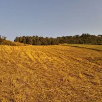 زمین باغی با ویوی ابدی