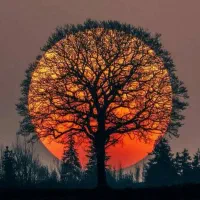 مشاوره خانواده رایگان|فعالیت داوطلبانه|تهران, اختیاریه|دیوار