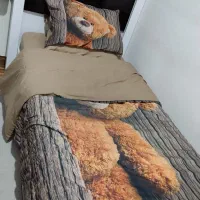 رو تختی یک نفره