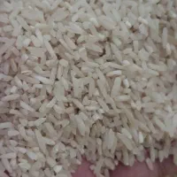 لاشه برنج صدری هاشمی