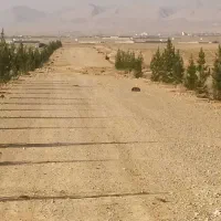 زمین کشاورزی جهت همکاری|اجارهٔ دفتر صنعتی، کشاورزی، تجاری|شیراز, کودیان|دیوار