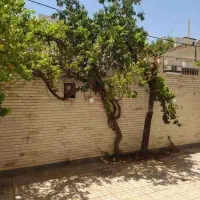 2 طبقه ویلایی در بست(خیابان توحید،صاحب الزمان)|اجارهٔ خانه و ویلا|مشهد, سعد آباد|دیوار
