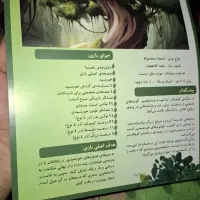 بازی فکری فتوسنتز|کلکسیون و سرگرمی|ماسال, |دیوار