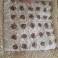 روتختی نو
