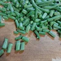 لوبیا استانبولی خرد شده آماده|خوردنی و آشامیدنی|رشت, چله خانه|دیوار