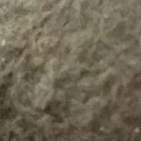 دفترچه نیرو مسلح گم کردم