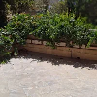 ۱۶۳ متری / ۳ خوابه / کفایی|فروش آپارتمان|مشهد, بهشت|دیوار
