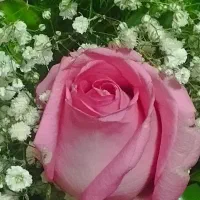 معلم خصوصی کلاس اول ودوم وسوم دبستان