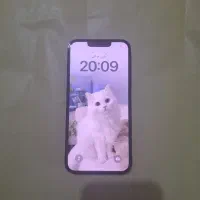 آیفون13نرمال