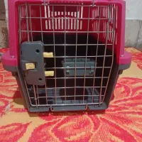 باکس سگ و گربه فقط تماس پیام نیستم