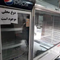 یخچال قصابی و رستوران و کبابی در حد نو تمام استیل|فروشگاه و مغازه|اندیشه, شهرک المهدی|دیوار