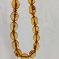 کهربای مورچه ای کمیاب