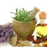 آموزش دوره ی کاربر گیاهان دارویی بنام«عطار شو»|خدمات آموزشی|اهواز, گلستان|دیوار