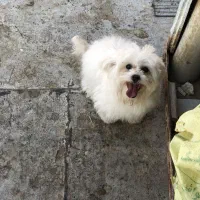 اگهیو بخوان بعد مزاحم شو ممنون