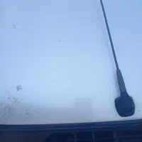 پژو 405 مدل 91|خودرو سواری و وانت|بندرعباس, |دیوار