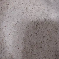 برنج هاشمی گیلان