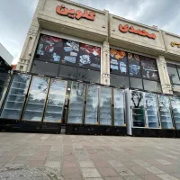 فریزر ایستاده ،فریزر فروشگاهی ،فریزر ویترینی