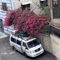 ون دلیکا کمپر